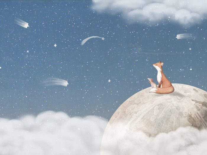 Renard sur la Lune – Bleu