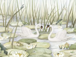 Spectacular Swans