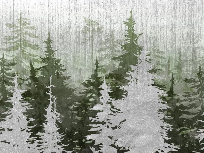 Green Fir Trees