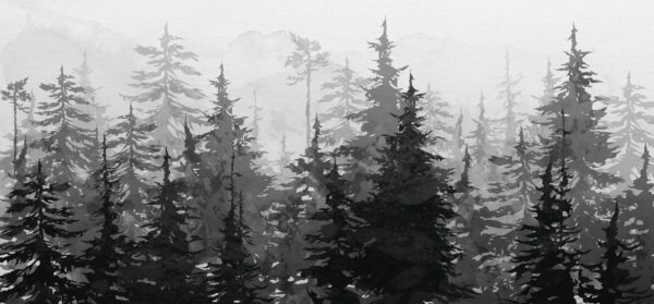 Sapins noirs et blancs