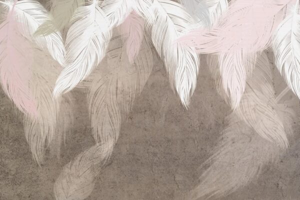 Soft Feathers On Concrete