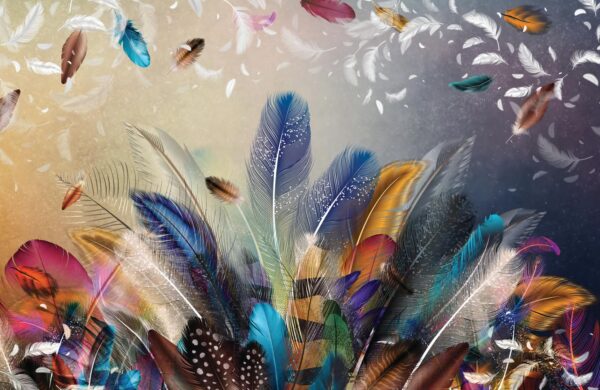 Explosion de plumes