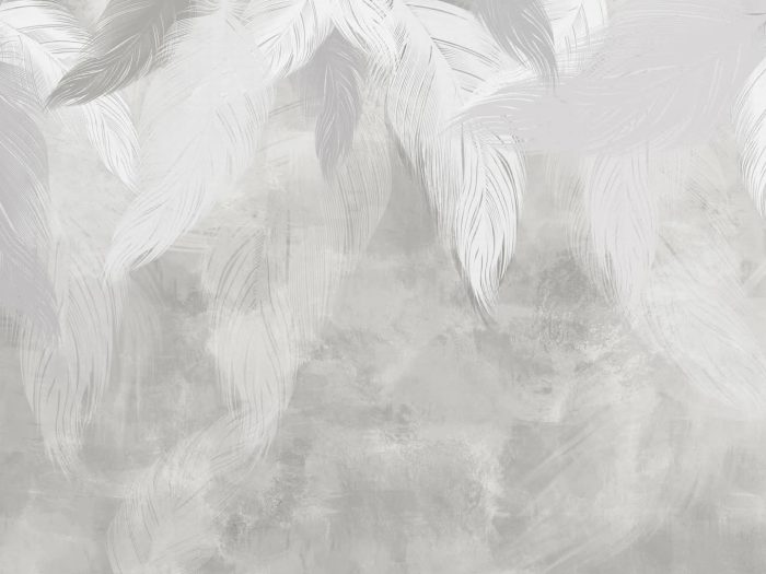 Texture de plumes