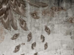 Pluie de plumes