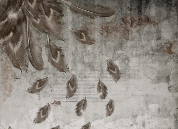 Pluie de plumes