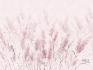 Ravissement rose