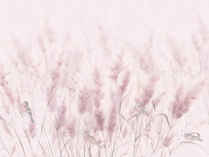 Pink Enchantment