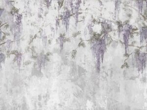 Wisteria