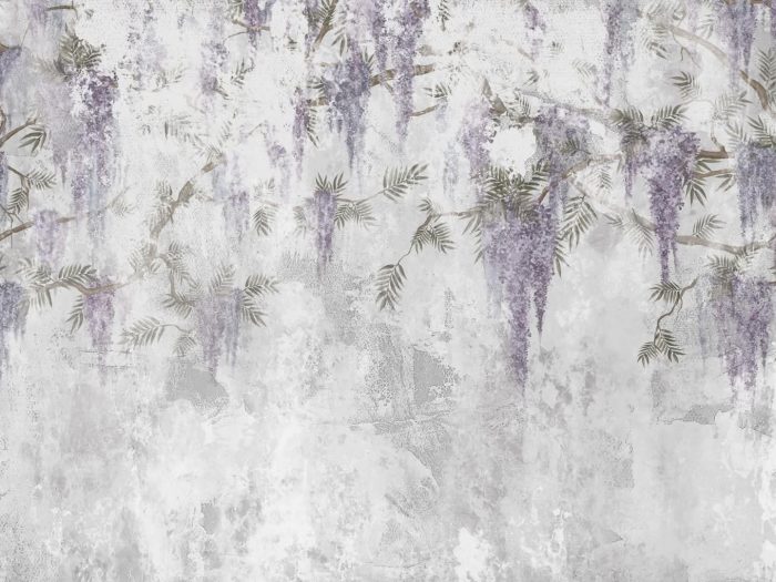 Wisteria