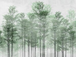 Forêt de bamboo vert