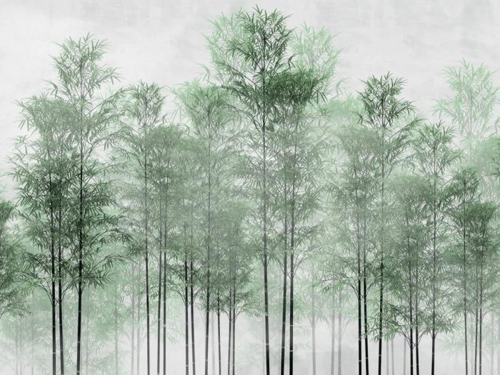 Forêt de bamboo vert