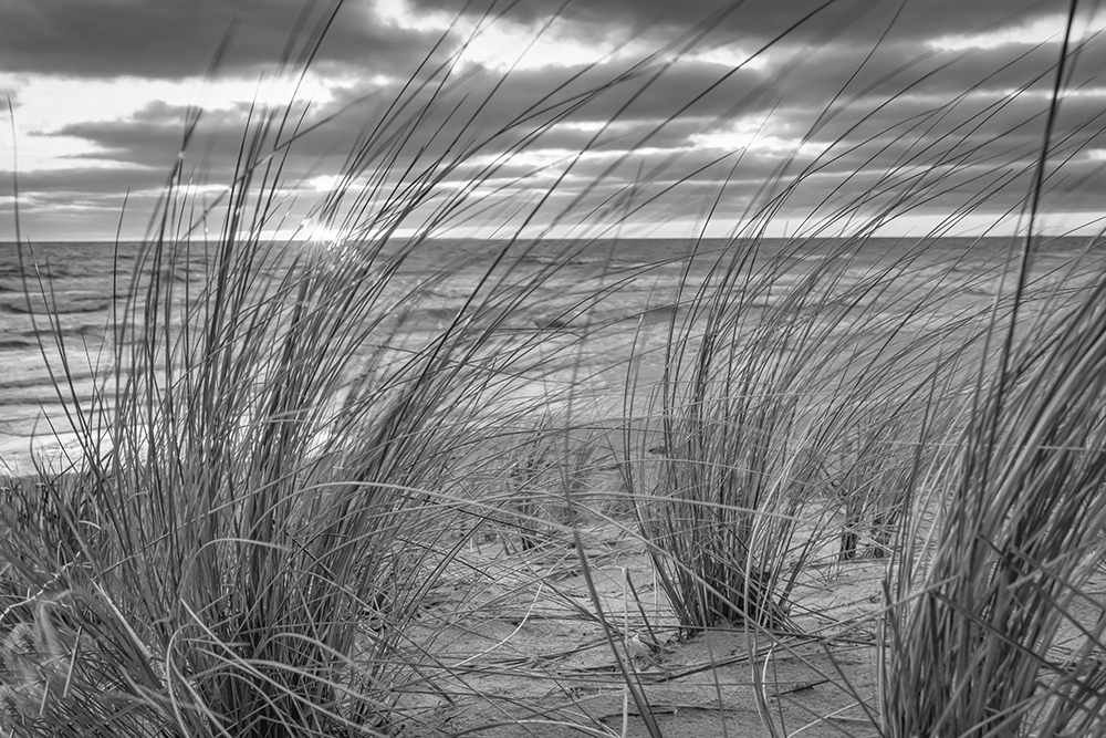 Dunes au Crépuscule - noir et blanc – Image 2