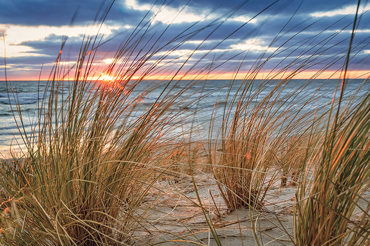 Dunes au Crépuscule – Image 2