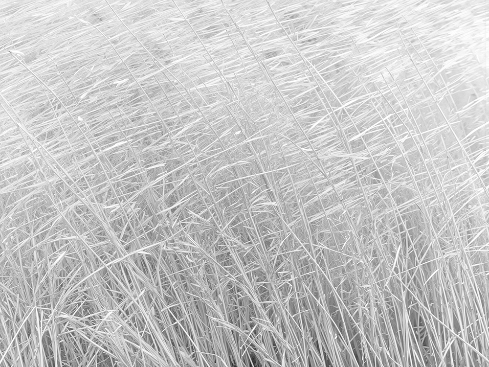 Sérénité neutre - noir et blanc – Image 2