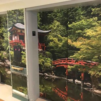 Projet de murales sur ascenseurs au Manoir de l'Âge d'Or (Montréal)