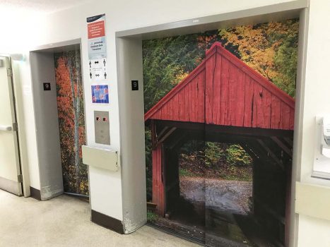 Projet de murales sur ascenseurs au Manoir de l'Âge d'Or (Montréal)