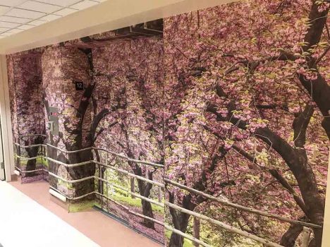 Projet de murales sur ascenseurs au Manoir de l'Âge d'Or (Montréal)