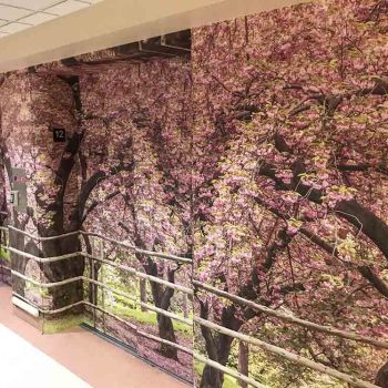 Projet de murales sur ascenseurs au Manoir de l'Âge d'Or (Montréal)