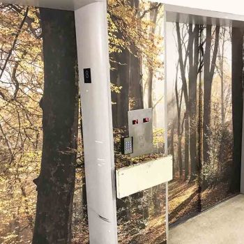 Project of wall murals on elevators at the Manoir de l'Âge d'Or in Montreal