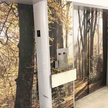 Projet de murales sur ascenseurs au Manoir de l'Âge d'Or (Montréal)