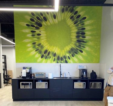 corflex_nathalie langlois_delson quebec_murale sur mesure_s