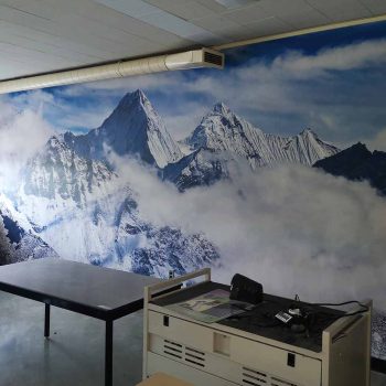 École Secondaire Alternative Phoenix